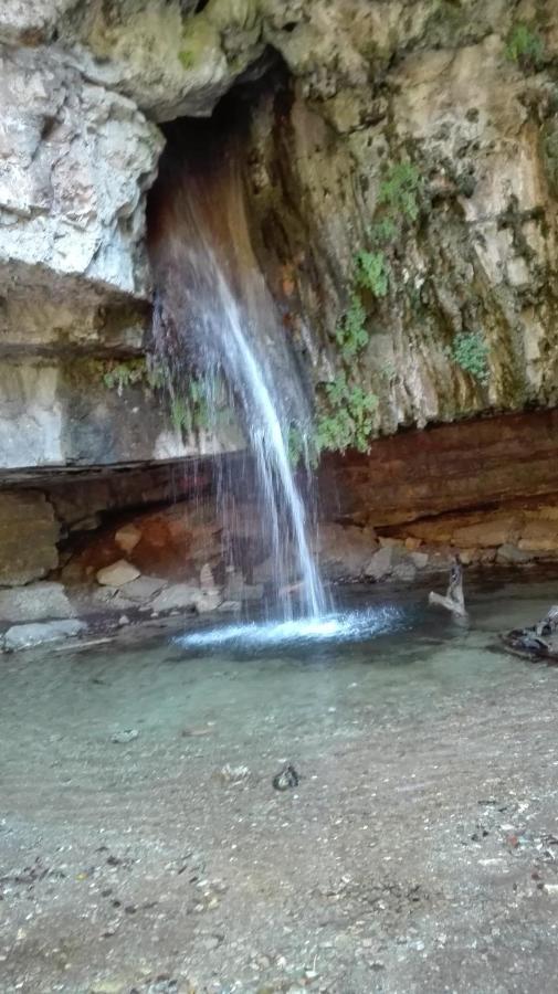 Pensión Il Giardino Di Anna - Charming In Cagliari