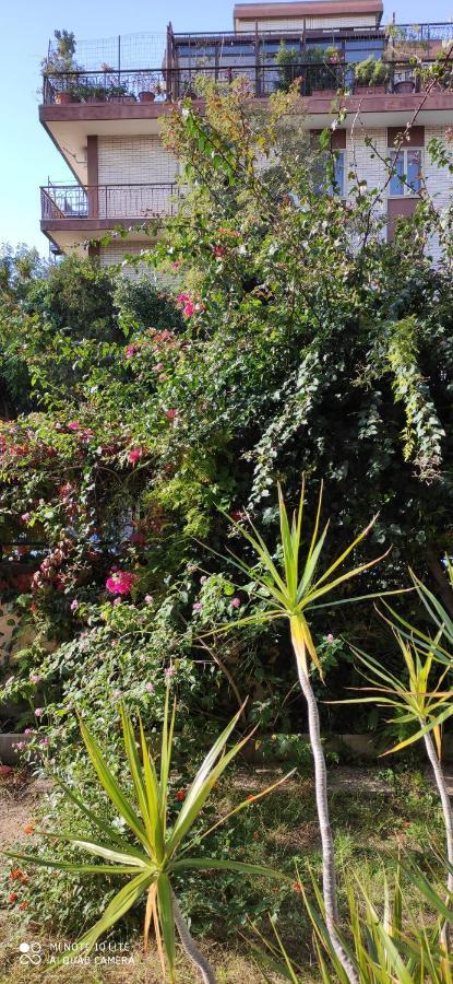 Pensión Il Giardino Di Anna - Charming In Cagliari